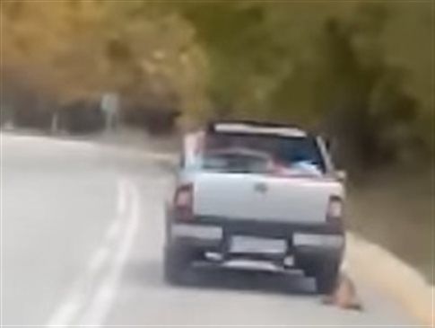 Αθωώθηκε ο οδηγός που έσερνε το σκυλί του δεμένο στο ΙΧ [Βίντεο]