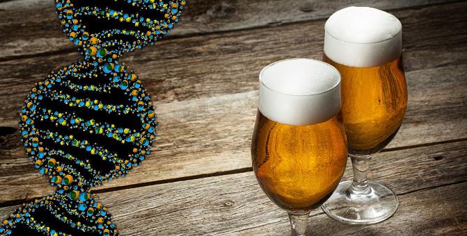 Τέλειο κρασί και τέλεια μπίρα υπόσχεται ένα… γονίδιο