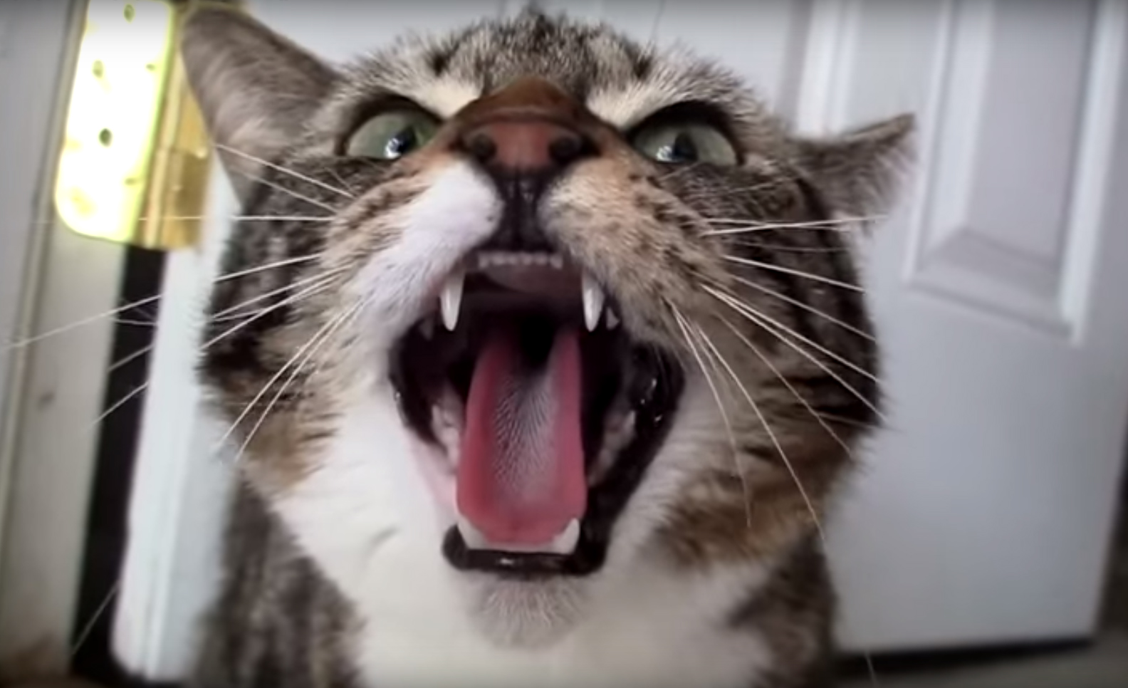 Καυστικό το νέο βίντεο της ΚΝΕ για τη Χρυσή Αυγή