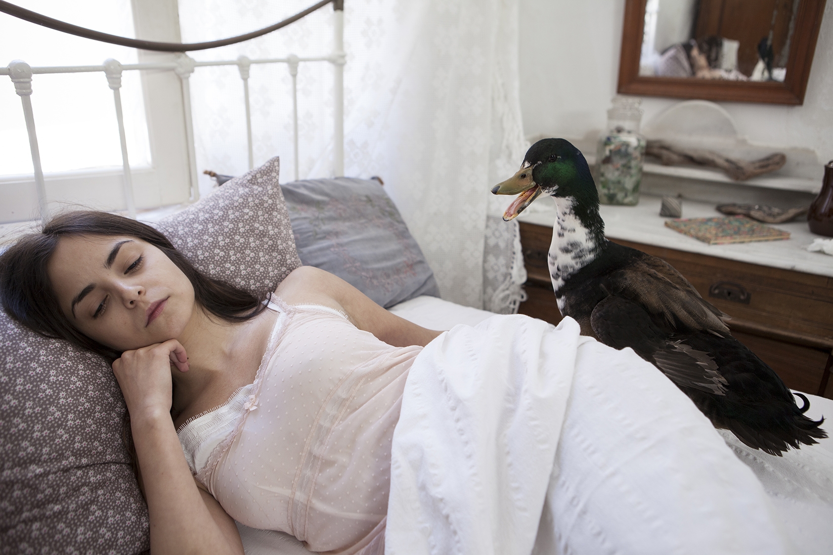 «Αγριόπαπια» του Ίψεν στο Θέατρο Πορεία από 22 Νοεμβρίου