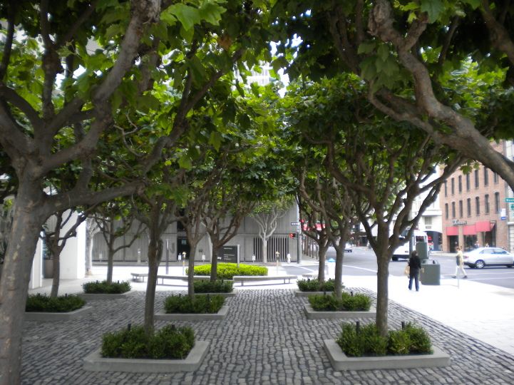 Οι «πράσινες» γειτονιές αναχαιτίζουν τις κρίσεις άσθματος