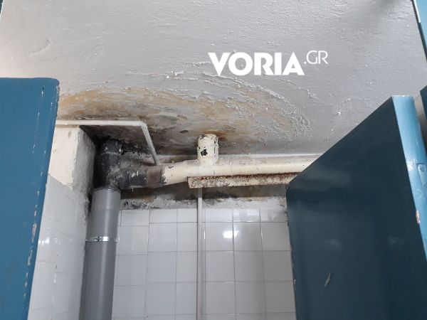 Φοιτητές ζουν μέσα στη μούχλα και στους σοβάδες