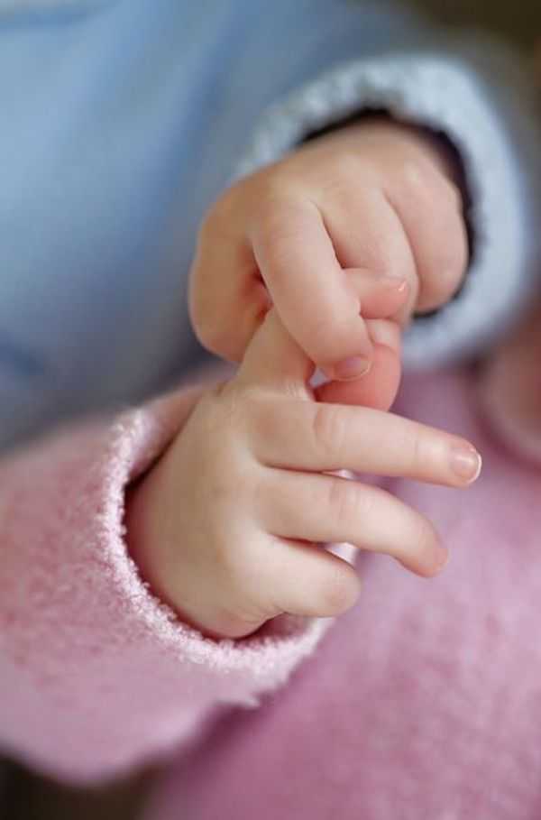 Εξ απαλών ονύχων και εξ όνυχος τον λέοντα