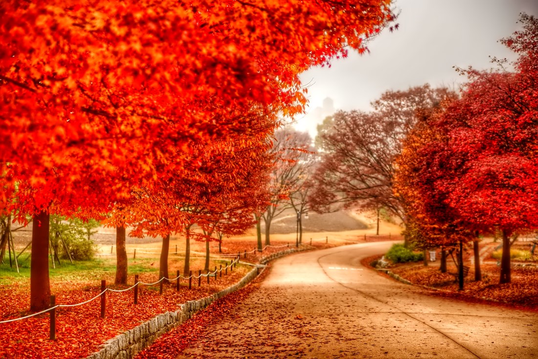 Πενήντα πράγματα που έμαθα αυτόν τον Νοέμβρη