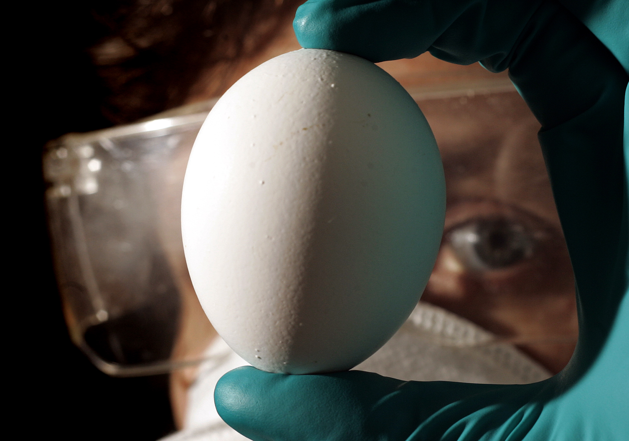 Προσοχή: Μην βάλετε ποτέ βραστά αυγά στον φούρνο μικροκυμάτων [Βίντεο]