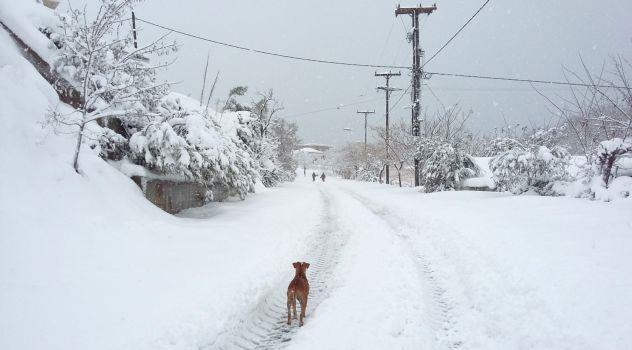 Σε «λευκό κλοιό» η χώρα – Σε ποιες περιοχές χιονίζει