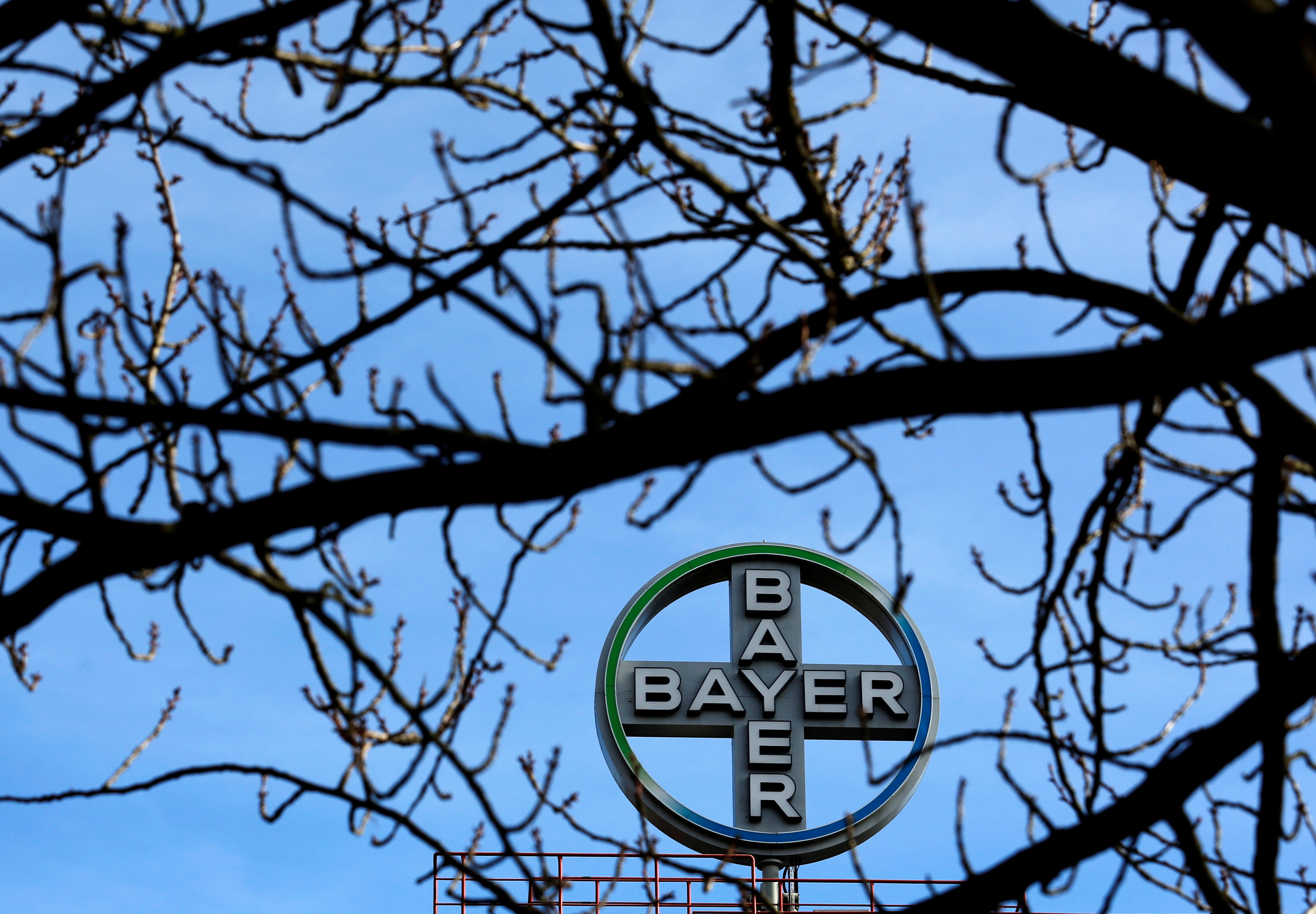 Bayer: Έμφαση σε Ογκολογία, Γυναικολογία και Καρδιαγγειακές Παθήσεις
