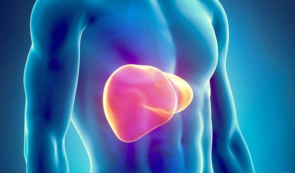 ΕΚΠΑ: Συμμετοχή σε έρευνα για τη μη αλκοολική λιπώδη ηπατική νόσο