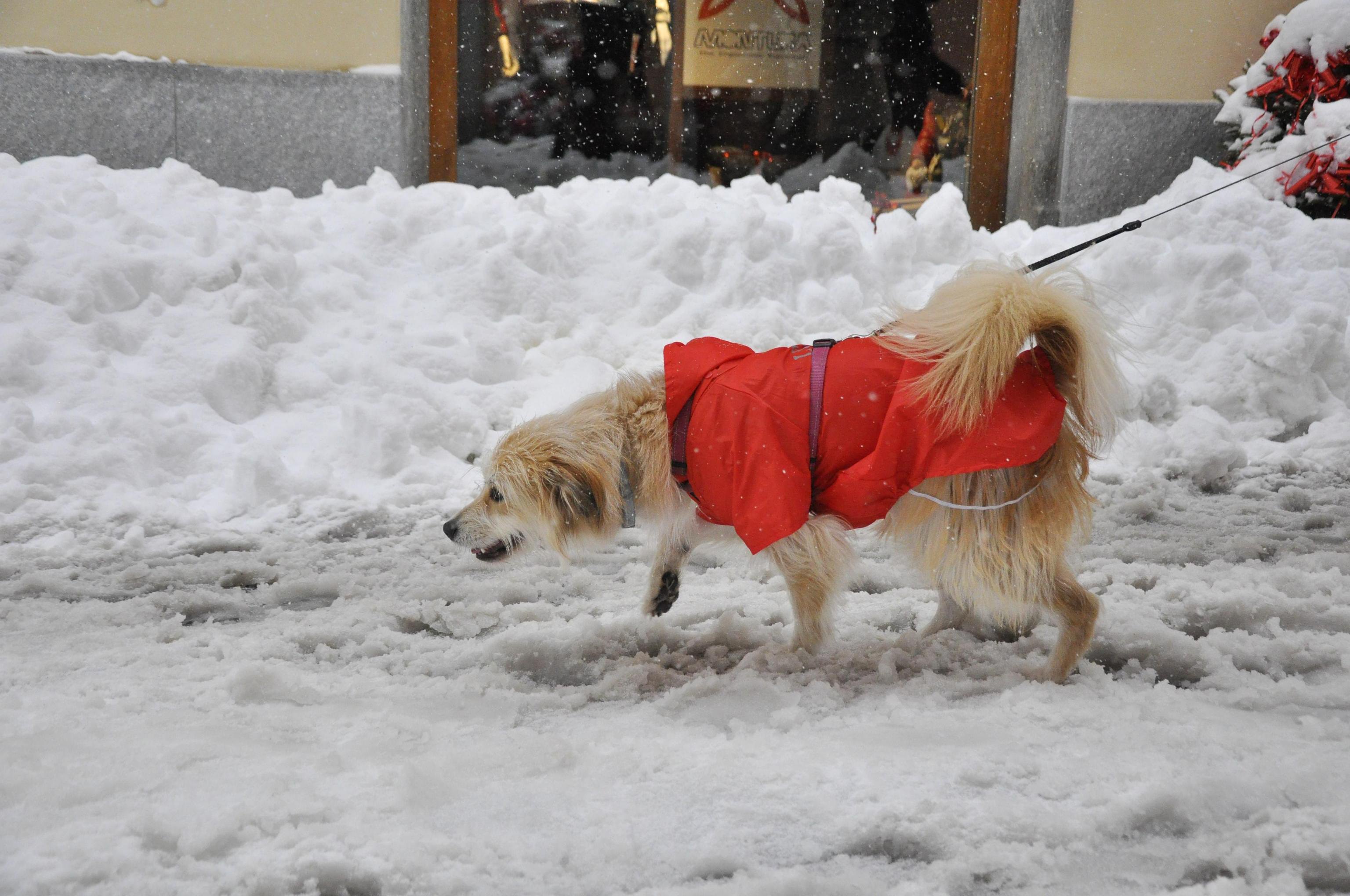 «Παρέλυσε» η δυτική Ευρώπη εξαιτίας της σφοδρής κακοκαιρίας