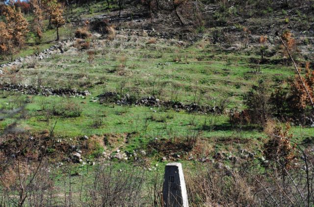 Αλβανία: «Ιστορικό Κοιμητήριο» για τους έλληνες πεσόντες