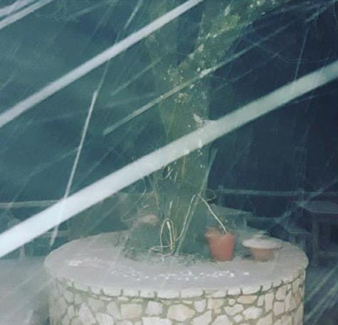 Χριστουγεννιάτικο τοπίο στην Πάρνηθα [Βίντεο]