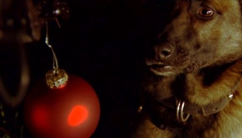 Το χριστουγεννιάτικο εορταστικό βίντεο της ΕΛ.ΑΣ