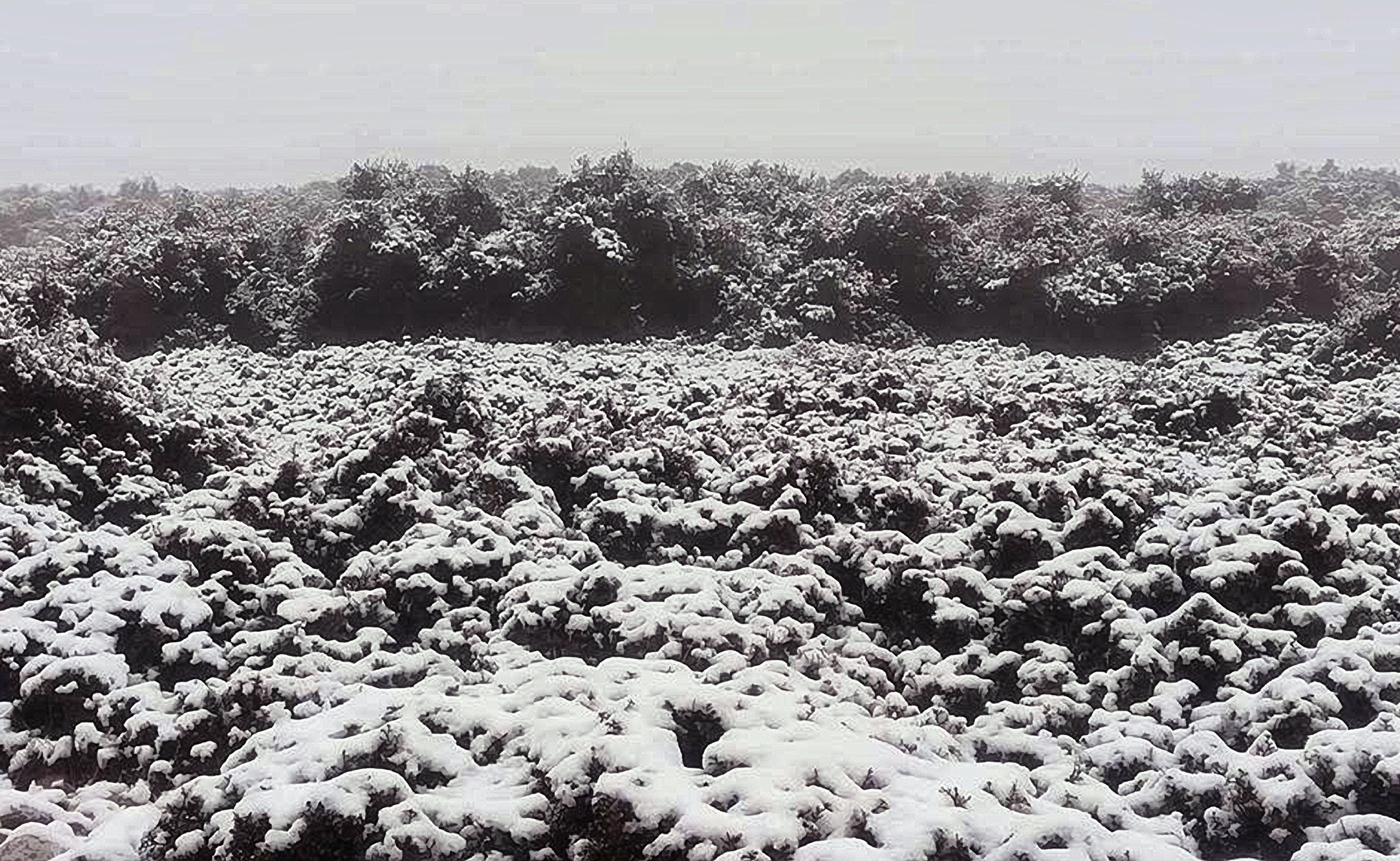 Πολιτική Προστασία: «Κλασική χειμωνιάτικη ημέρα»