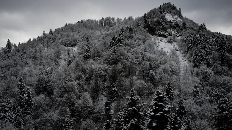 Στα «λευκά» η χώρα και την Παρασκευή – Πού θα χιονίσει