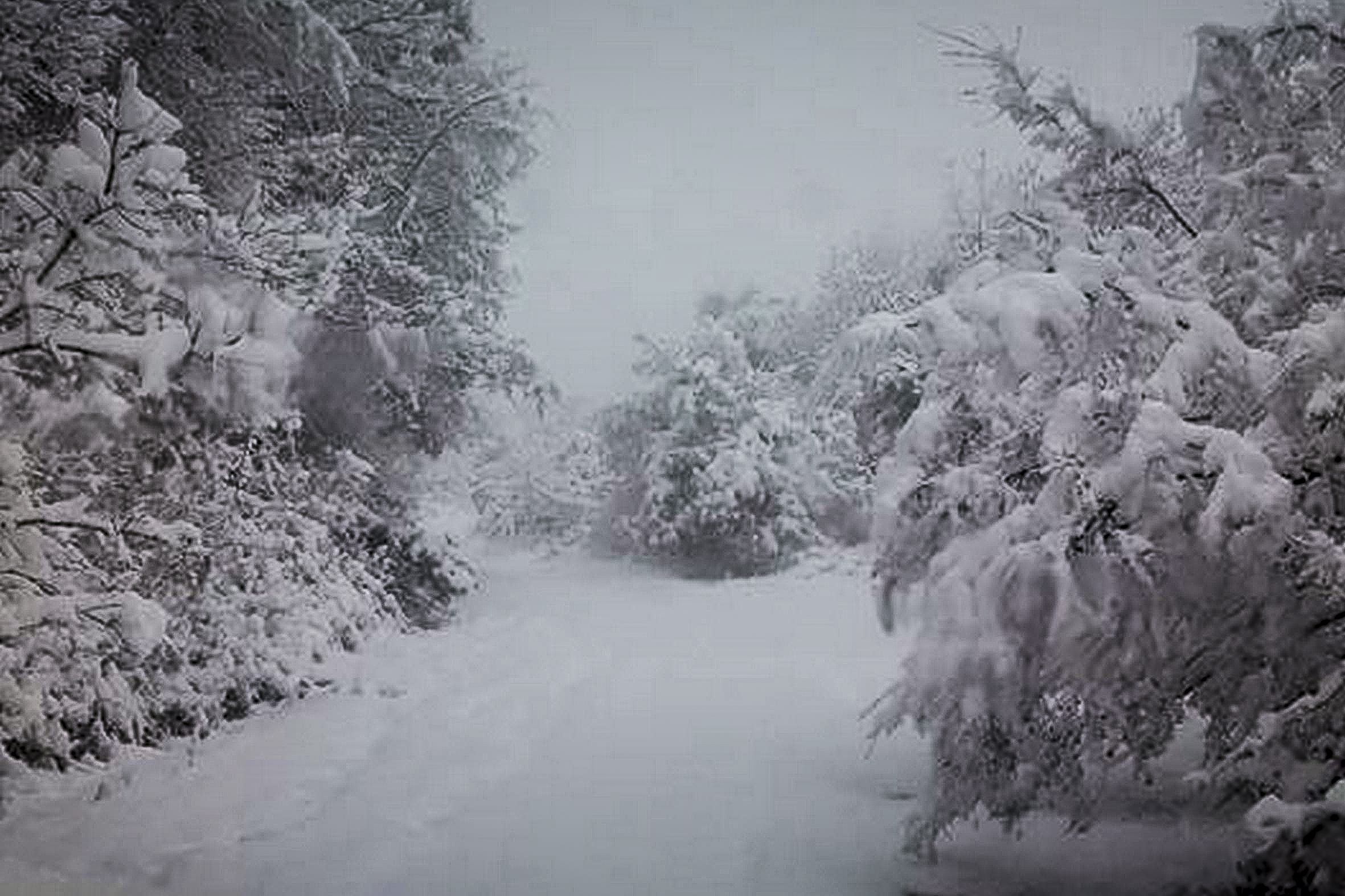 Συνεχίζει την επέλαση ο χιονιάς το Σάββατο – Ποιες περιοχές θα χτυπήσει