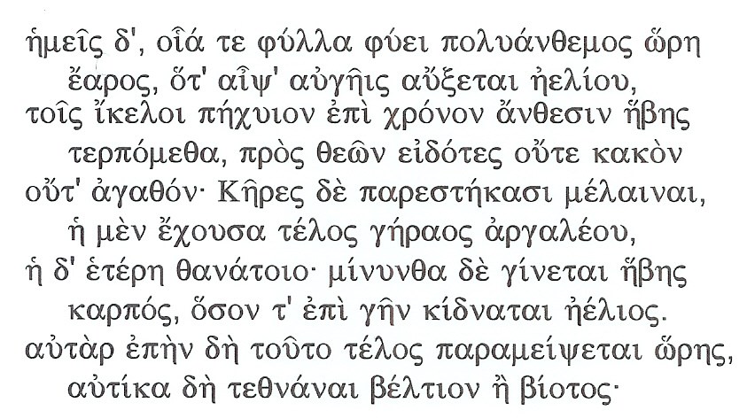 Ελεγεία: Ο Μίμνερμος ο Κολοφώνιος