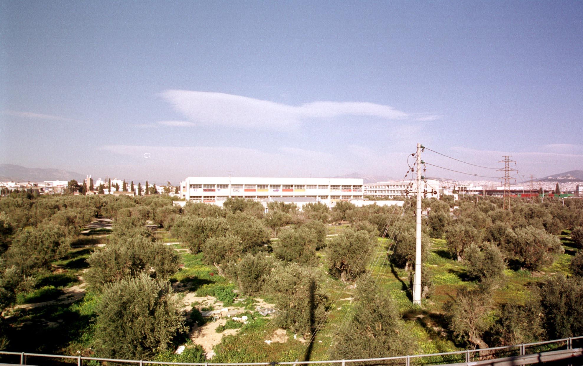 Πάρκο 46 στρεμμάτων στον Ελαιώνα σχεδιάζει ο δήμος Αθηναίων