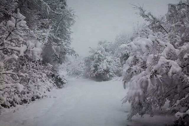 Αγριεύει ο καιρός: 48ωρο με καταιγίδες και χιόνια