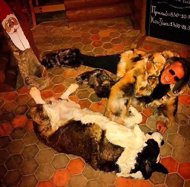 Ψινάκης: «Έπαθα Σουλιώτισσα»