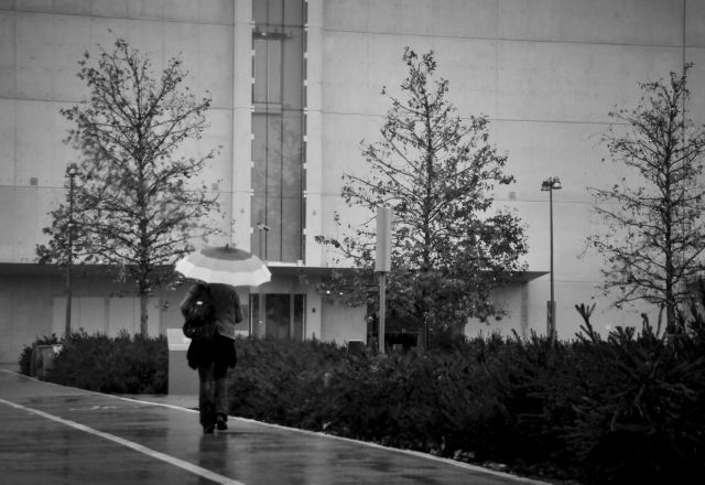 Προβλήματα προκάλεσαν οι θυελλώδεις άνεμοι – Ο καιρός σήμερα