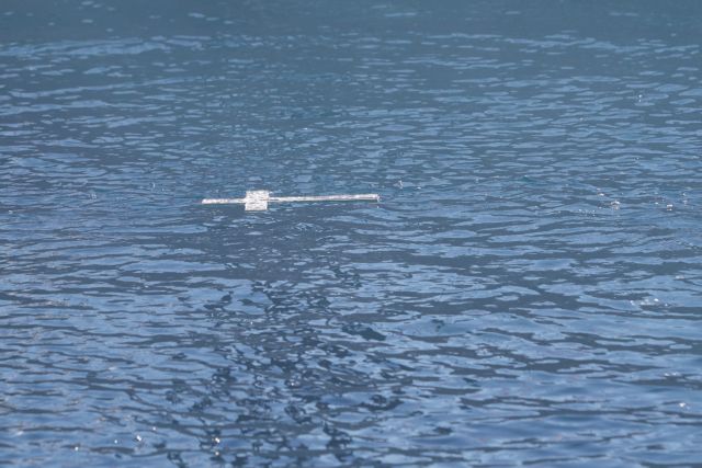 Ο ελληνισμός γιόρτασε τα Θεοφάνεια στον Δούναβη