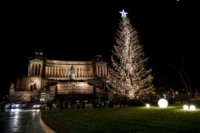 Το «μαδημένο δέντρο» της Ρώμης βρίσκει μια θέση σε μουσείο