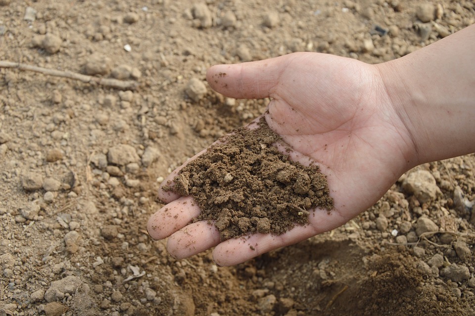 Δημιουργήθηκε ο πρώτος άτλαντας με τα βακτήρια του χώματος