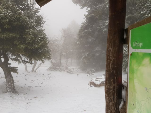 To ’στρωσε στην Πάρνηθα [Βίντεο]