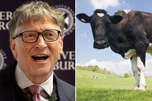 Ο Μπιλ Γκέιτς θέλει να δημιουργήσει μια… σούπερ αγελάδα