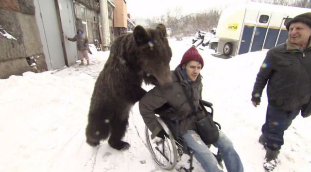 Αν βαρεθήκατε τις φυσιολογικές νοσοκόμες, επιλέξτε μια… αρκούδα
