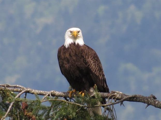 «Tough fashion»: Οταν η μόδα γίνεται επώδυνη