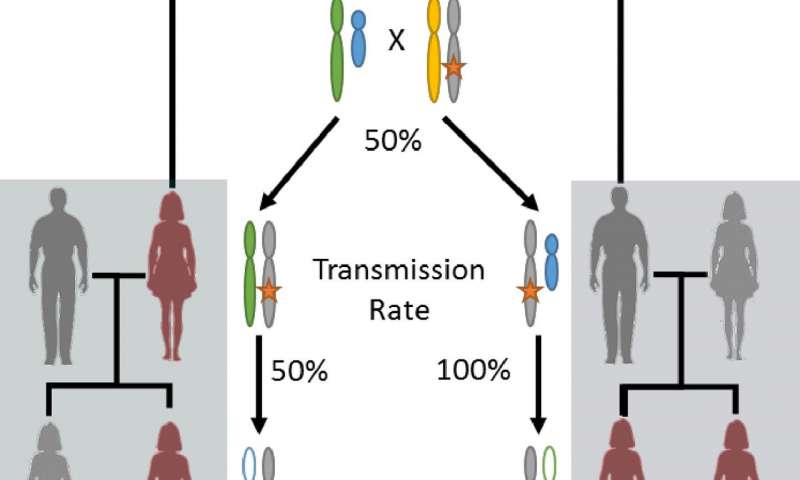 Νέα μετάλλαξη αυξάνει τον κίνδυνο καρκίνου ωοθηκών και προστάτη