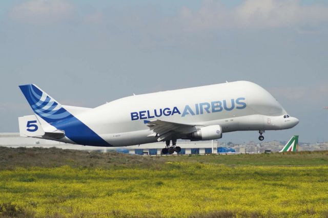 Στο αεροδρόμιο «Ελ.Βενιζέλος» το εντυπωσιακό Beluga Airbus [Βίντεο & Εικόνες]