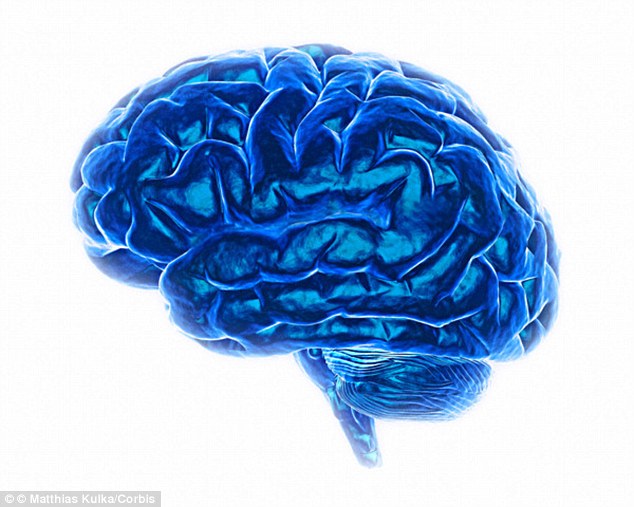 Ψηφιακό back up εγκεφάλου υπόσχεται αμερικανική εταιρεία