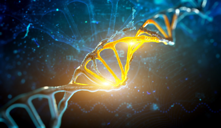 Ανακαλύφθηκαν 538 γονίδια που σχετίζονται με την ευφυΐα