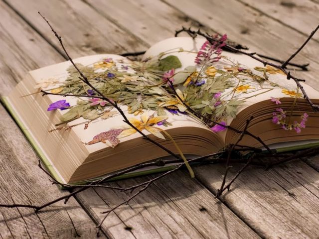 Πενήντα πράγματα που έμαθα κι αυτόν τον Φεβρουάριο