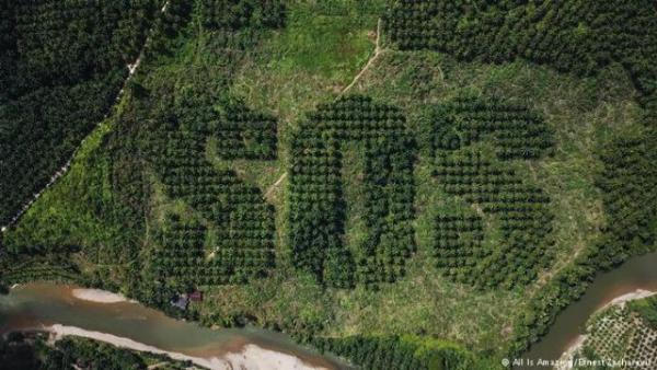 Μια ταινία για τις οικολογικές μας αυταπάτες