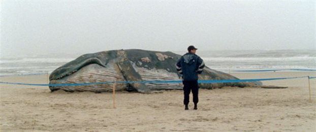 Ενας αντισυμβατικός Πορτογάλος