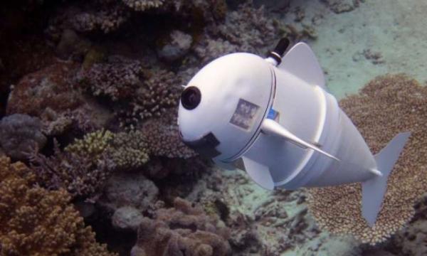 Tο πρώτο ρομποτικό ψάρι που το… ερωτεύονται τα άλλα ψάρια [Βίντεο]