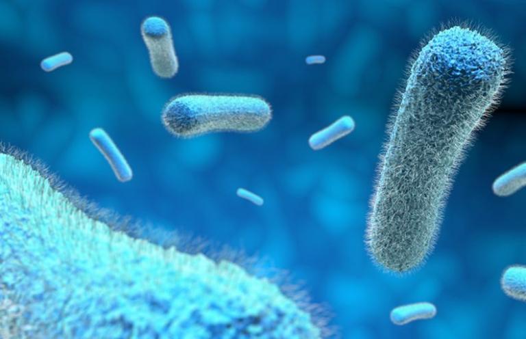 Bιοκτόνο υλικό στα ρούχα εξοντώνει τα μικρόβια με τη βοήθεια του ήλιου