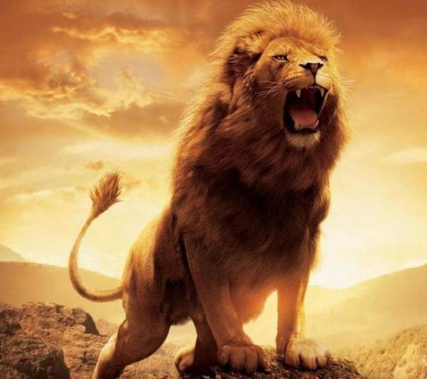Ανακαλύφθηκε εξαφανισμένο λιοντάρι γίγαντας