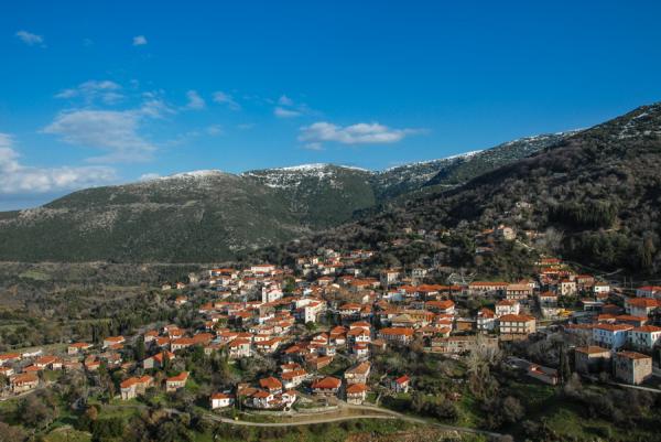 Ανδρίτσαινα, μια βιβλιοθήκη-κόσμημα