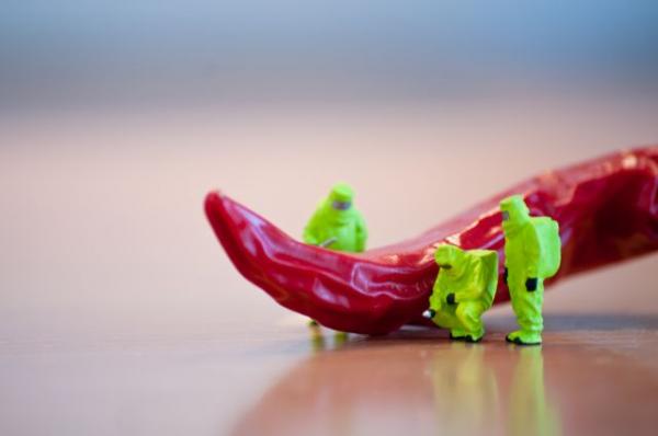 Οι τροφές που απογειώνουν τον μεταβολισμό