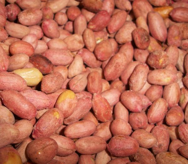 Τα επτά τρόφιμα που δεν θα έτρωγαν οι ειδικοί