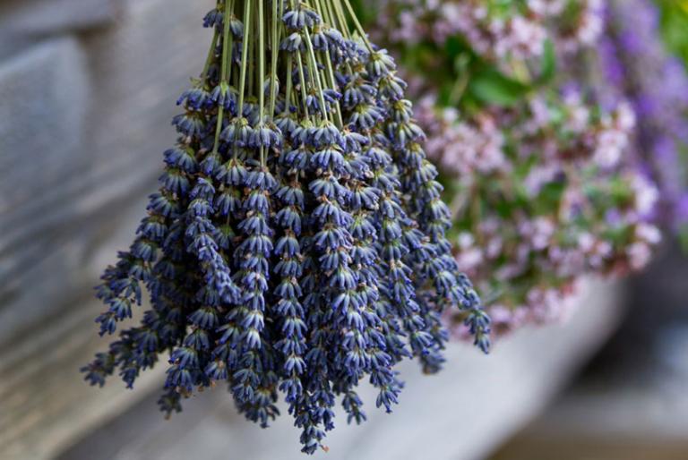 Κρατήστε τα κουνούπια μακριά