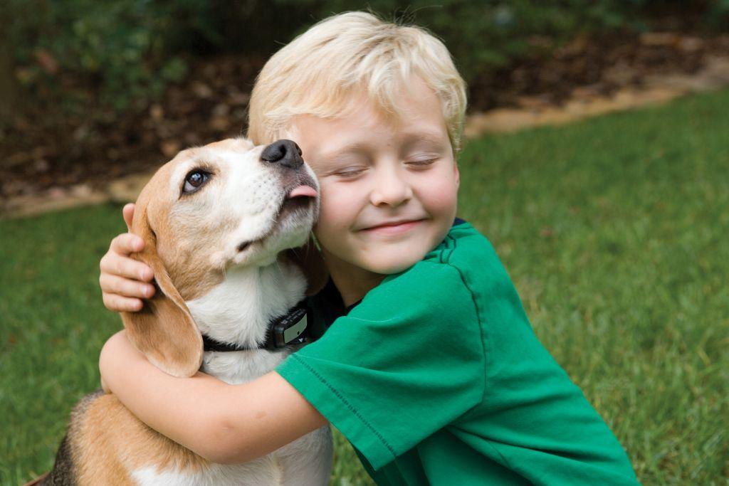 Παιδί και σκύλος: πώς να φτιάξεις την τέλεια σχέση μεταξύ τους