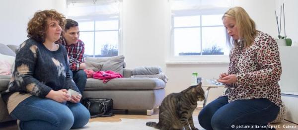 Οι γάτες πάνε στον ψυχολόγο