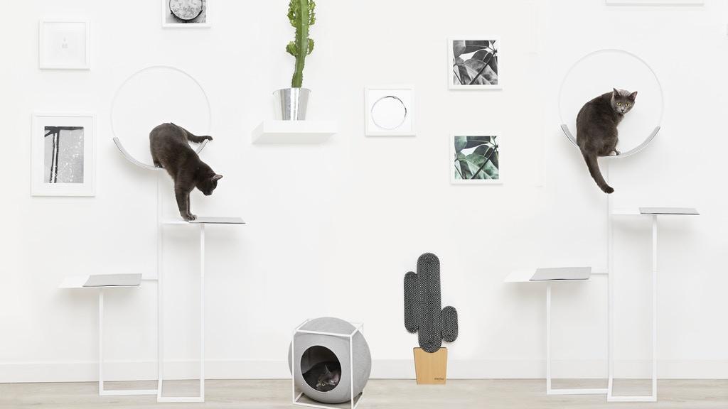 Μινιμαλιστική και παιχνιδιάρικη διακόσμηση για γάτες