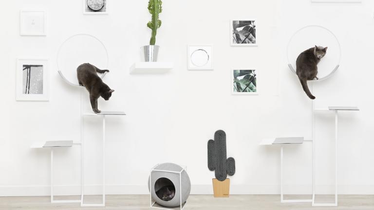 Μινιμαλιστική και παιχνιδιάρικη διακόσμηση για γάτες