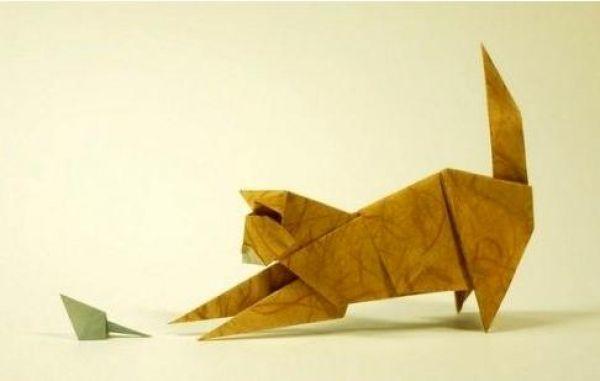 Μικρά οριγκάμι ξεδιπλώνουν το μεγαλείο του ζωικού βασιλείου